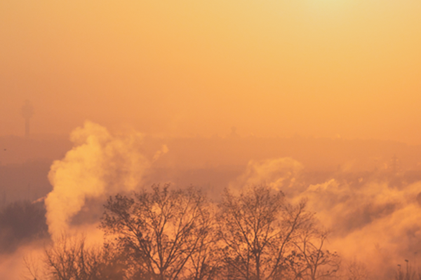 The Rise Of Air Pollution, And What We Can Do About It - Nestoil World Environment Day