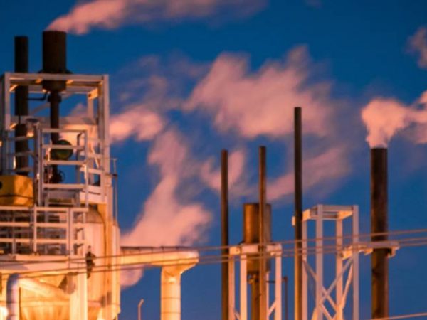 It is difficult investing in an unpredictable power sector environment - Dr Chukwueloka Umeh, Nestoil