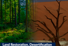 World Environment Day 2024:  Land Restoration, Desertification, and Drought Resilience.